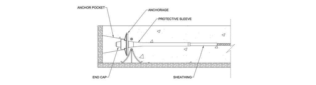 Section view of a typical encapsulated stressing anchor components